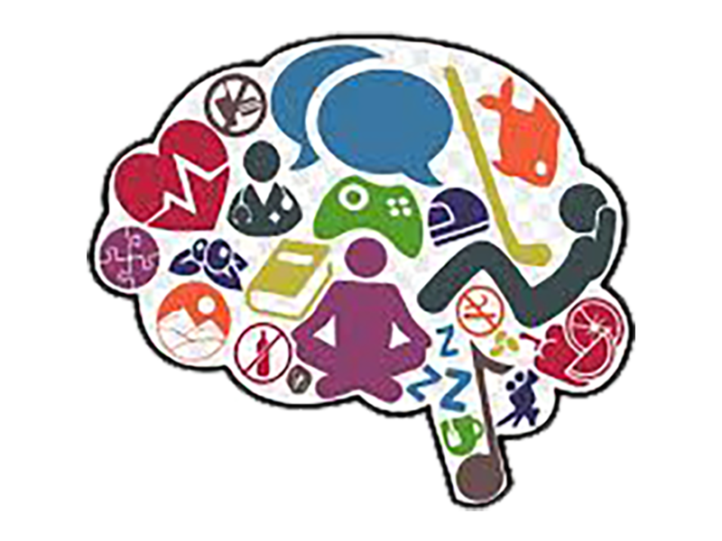 brain-habits